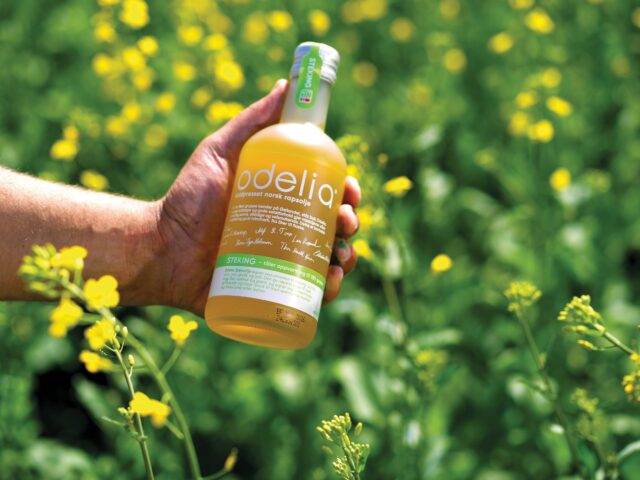 Prfilbilde forside FB